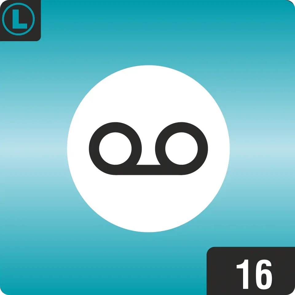 License For Voicemail Channels 2